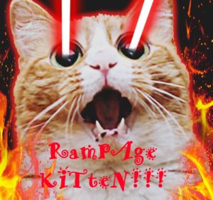 Rampage Kitten!
